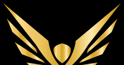 Icarus Academy
